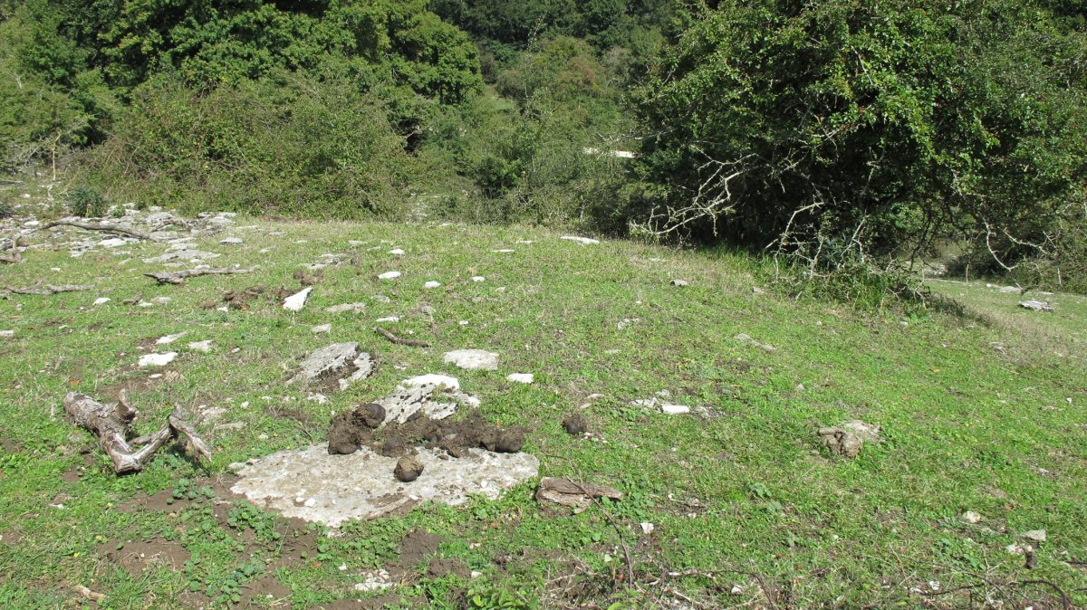 Bordas de Zaborrate etxola hondoa, Lezaun