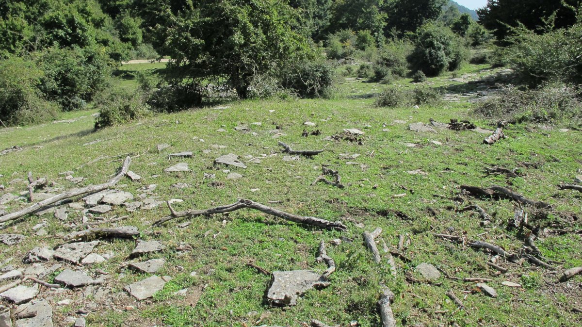 Bordas de Zaborrate etxola hondoa, Lezaun