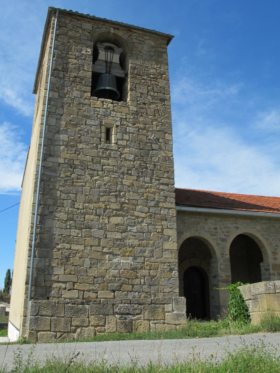 Asuncion eliza, Artaxo-Longida