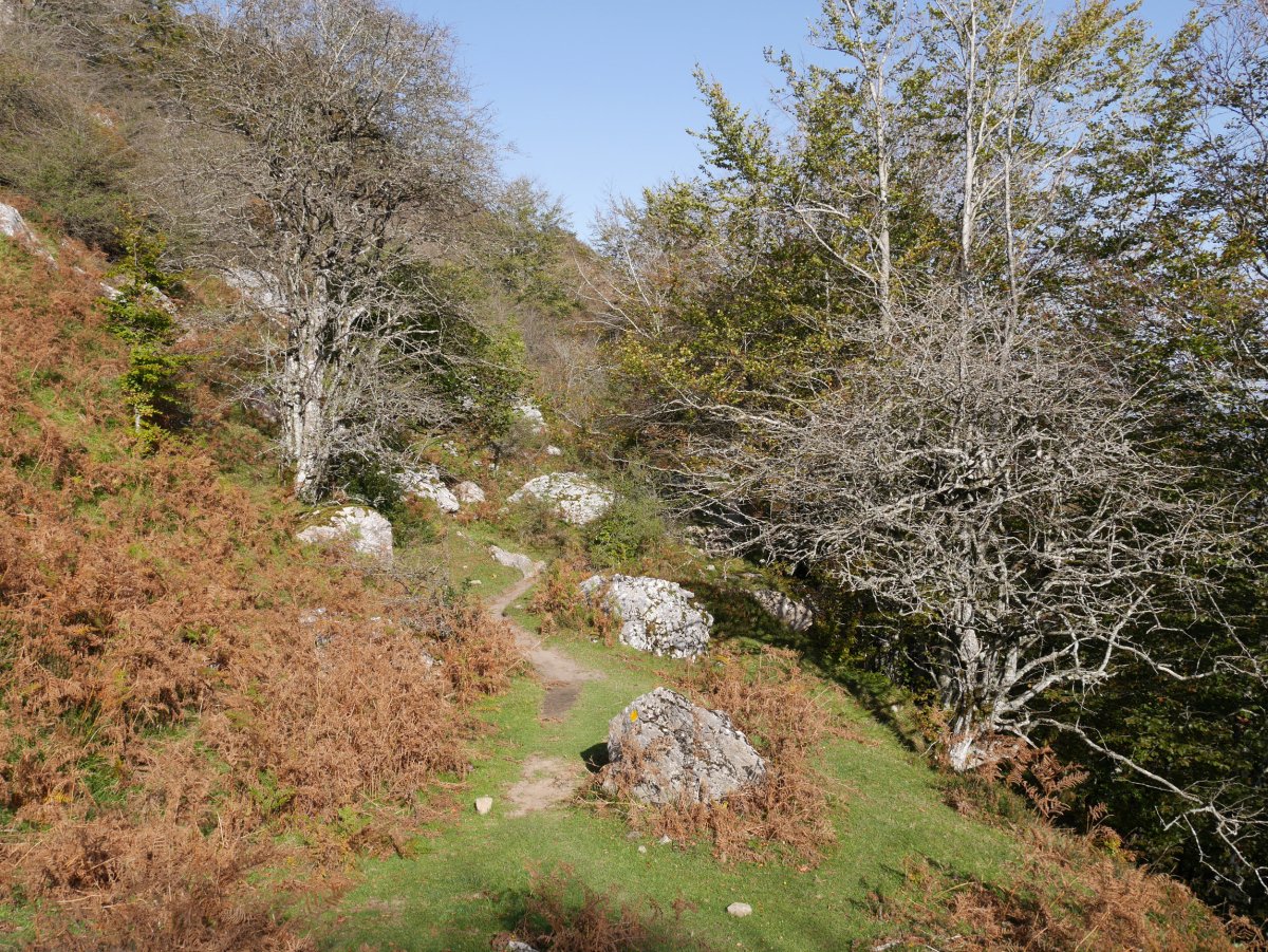 Santi Spiritu aldetik abiatu eta IEkialdeko isurialdetik igotzen den bidea