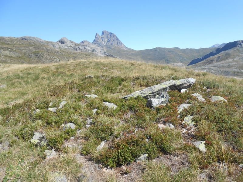 corona de los faballones