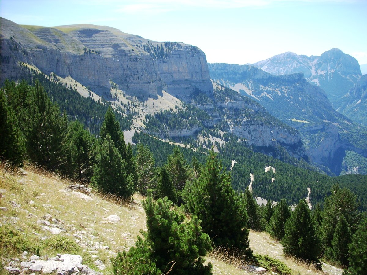 Santa Isabelera jaisten