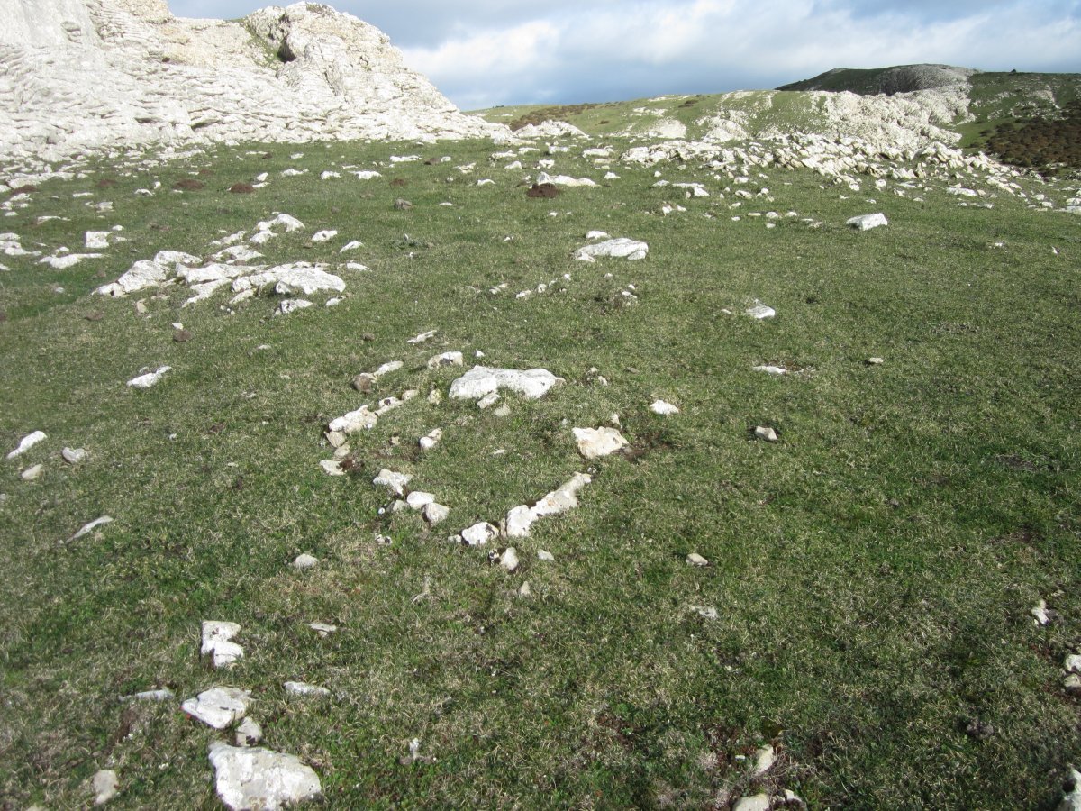 Túmulo Anular Elortxiki