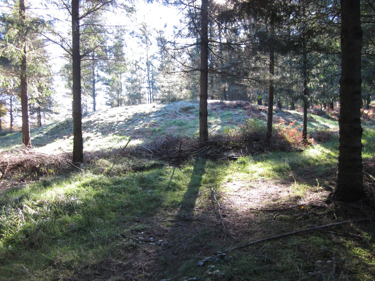 Túmulo Tranpaluarri   (Noviembre 2015)