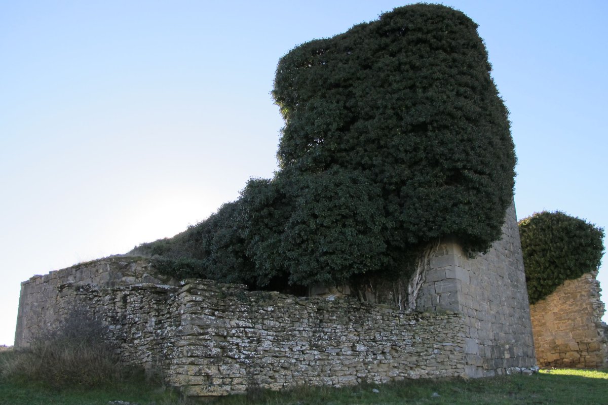 San Martin eliza, Mugeta-Longida