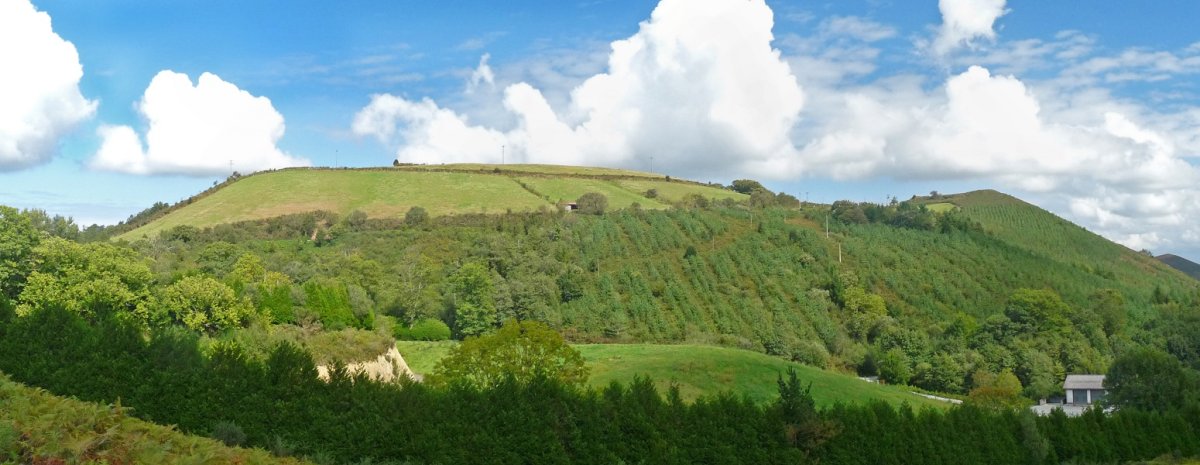 Erentzazuko bizkarra