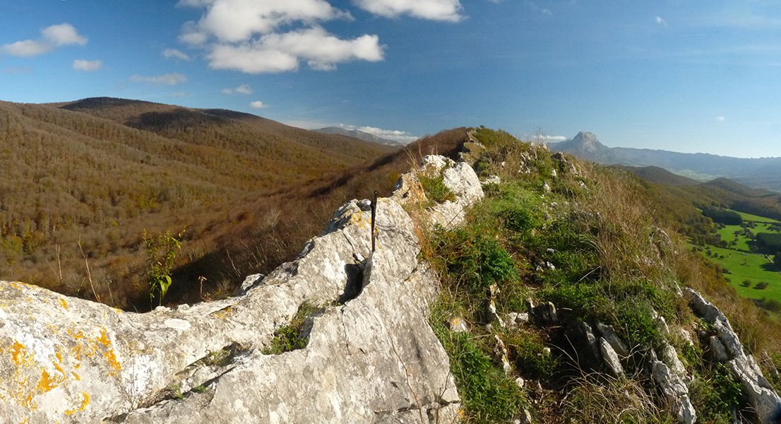 Sarabeko haitza, buzoiaren arrastoekin