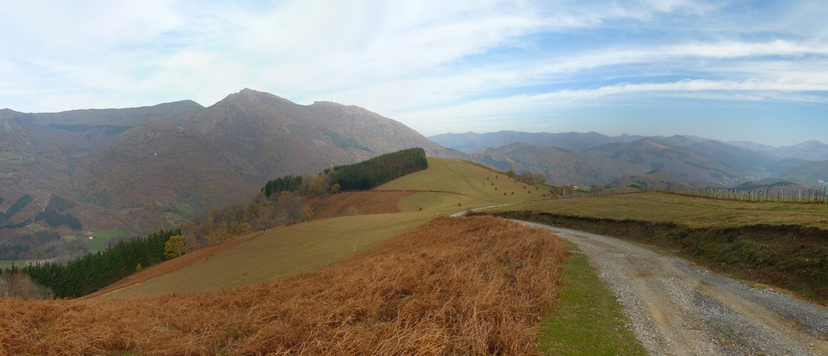Galardeko kasko borobila