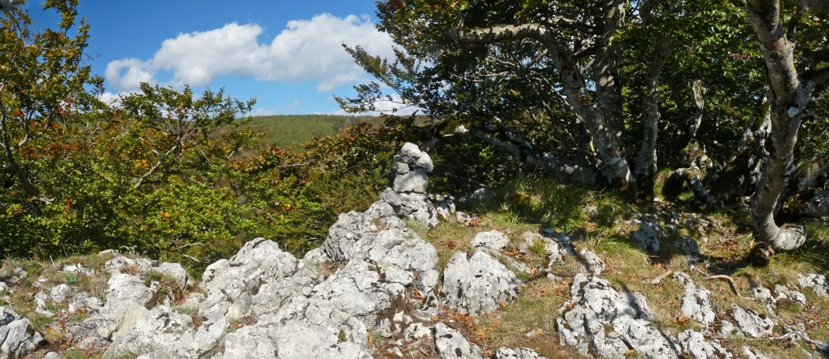 Beorkolarreko gailurra