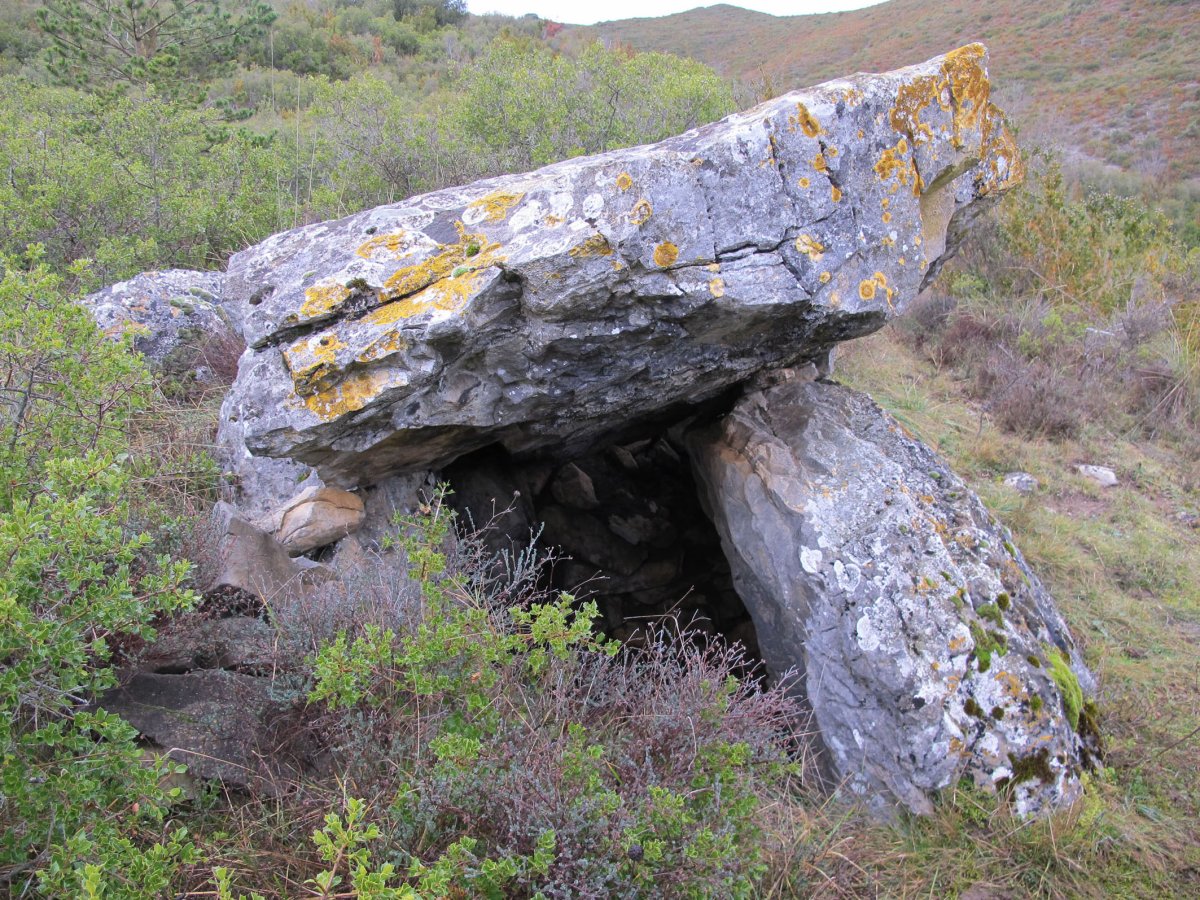 Ailoa 2 hego trikuharria, Urraulgoiti