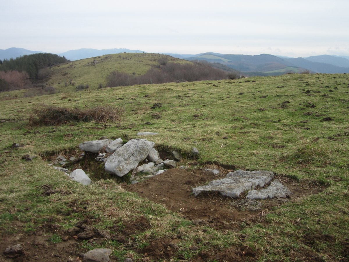 Cista Erroizpe  (Enero 2016)