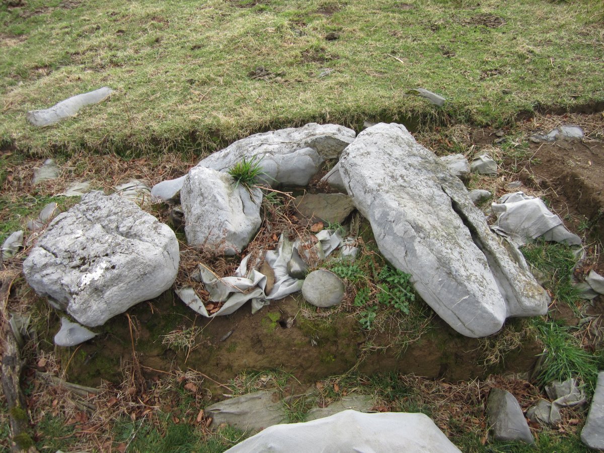 Cista Erroizpe (Enero 2016)