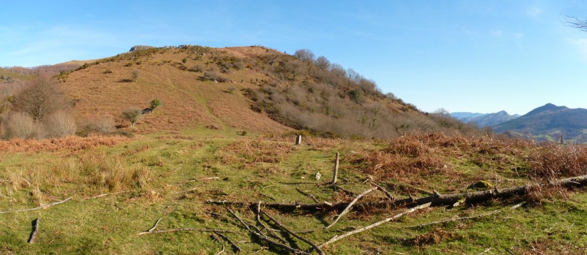 Mugerriko gaina Ardizoko lepotik