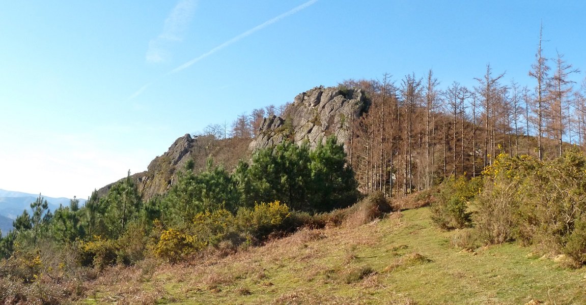 Lizarnabarra Ardizoko lepotik