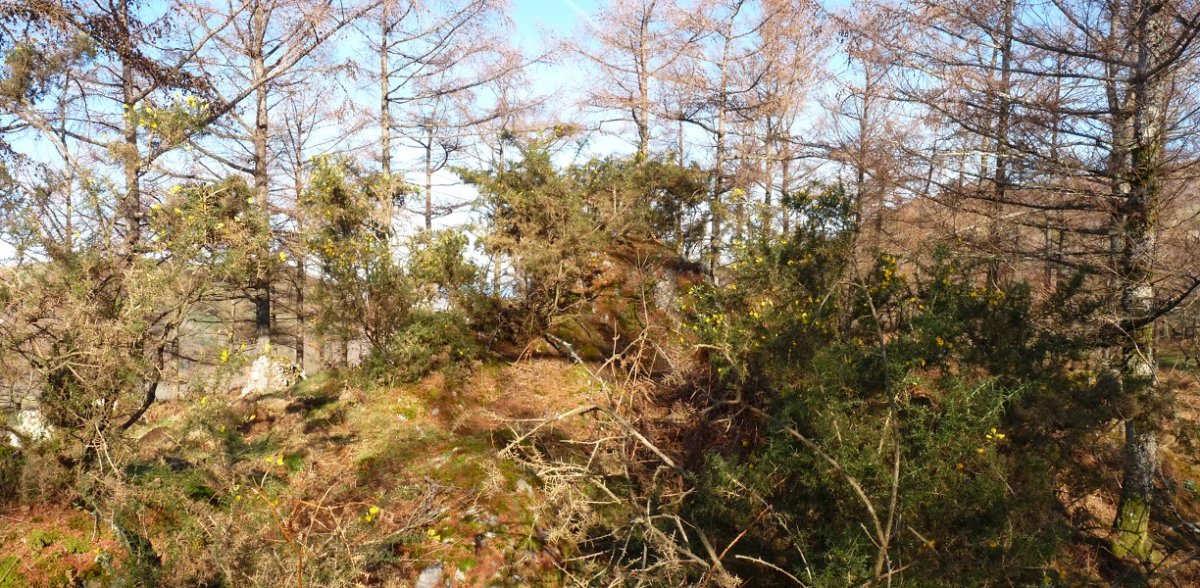 Lizarnabarreko gailurra