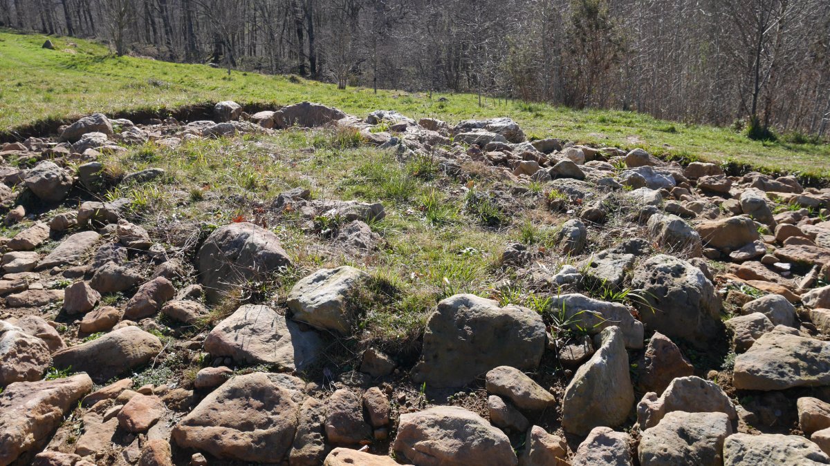 Berrozpin 4 trikuharria