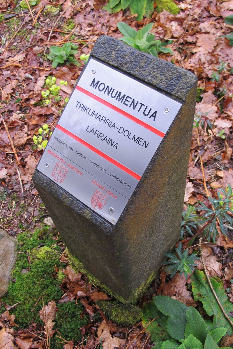 Larraina trikuharria, Bera