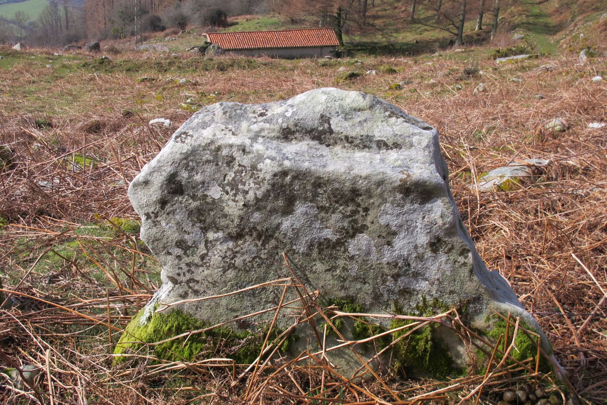 Malete zutarria, Bera