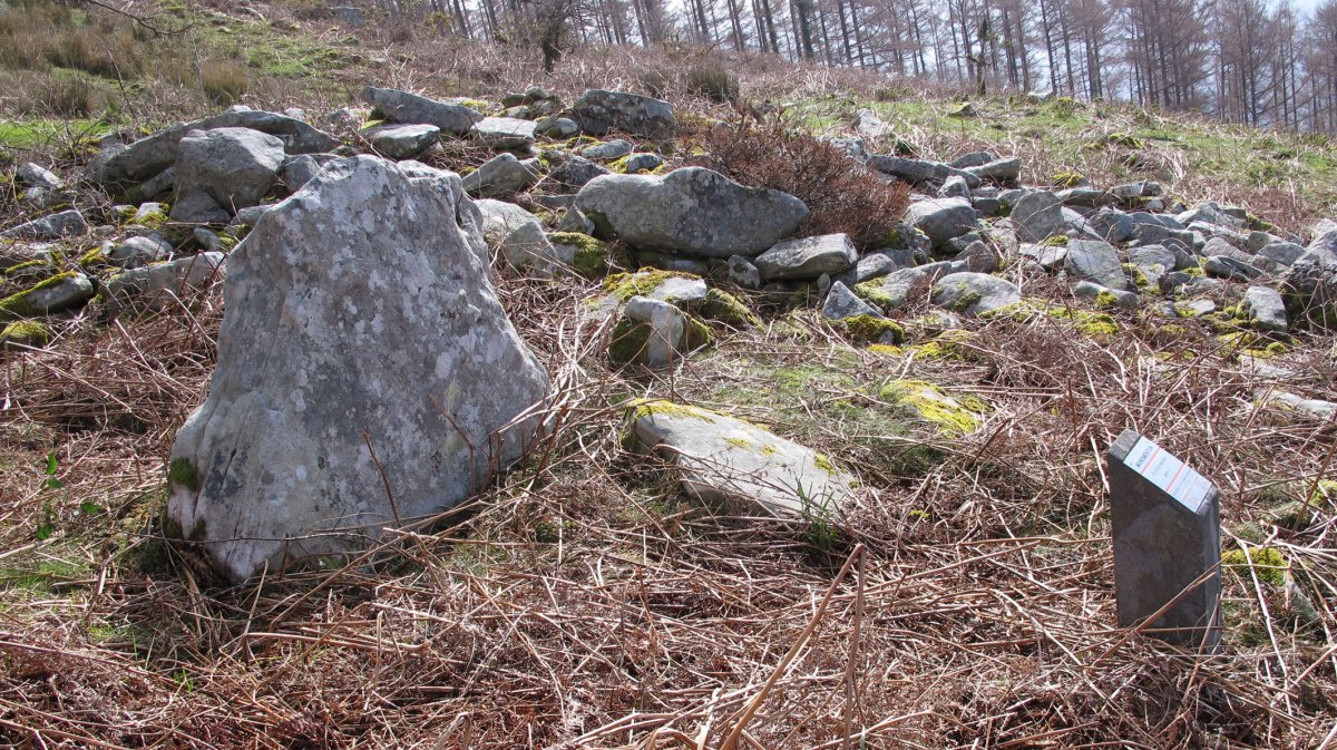 Malete zutarria, Bera