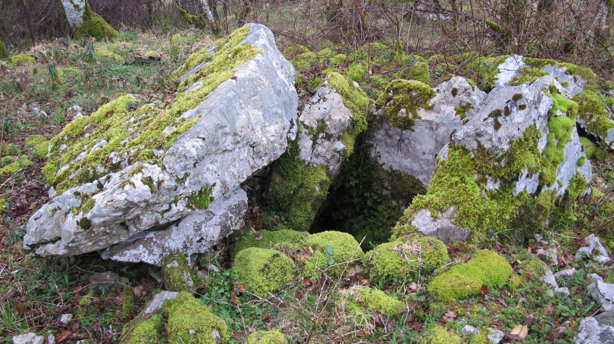 Milaldapa trikuharria, Oderitz-Larraun