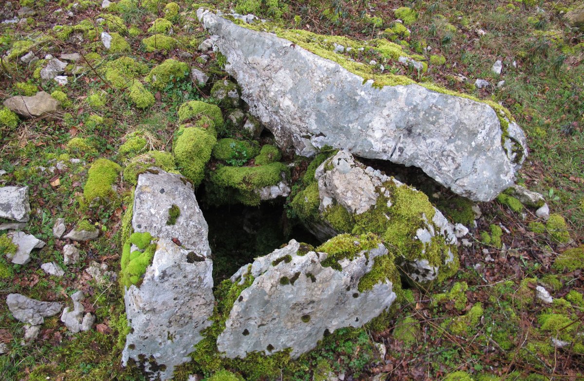 Milaldapa trikuharria, Oderitz-Larraun