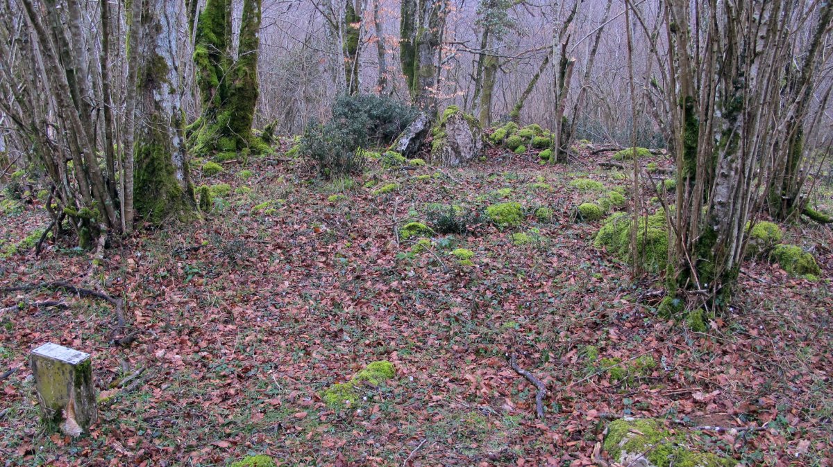 Pikabotz trikuharria, Oderitz-Larraun