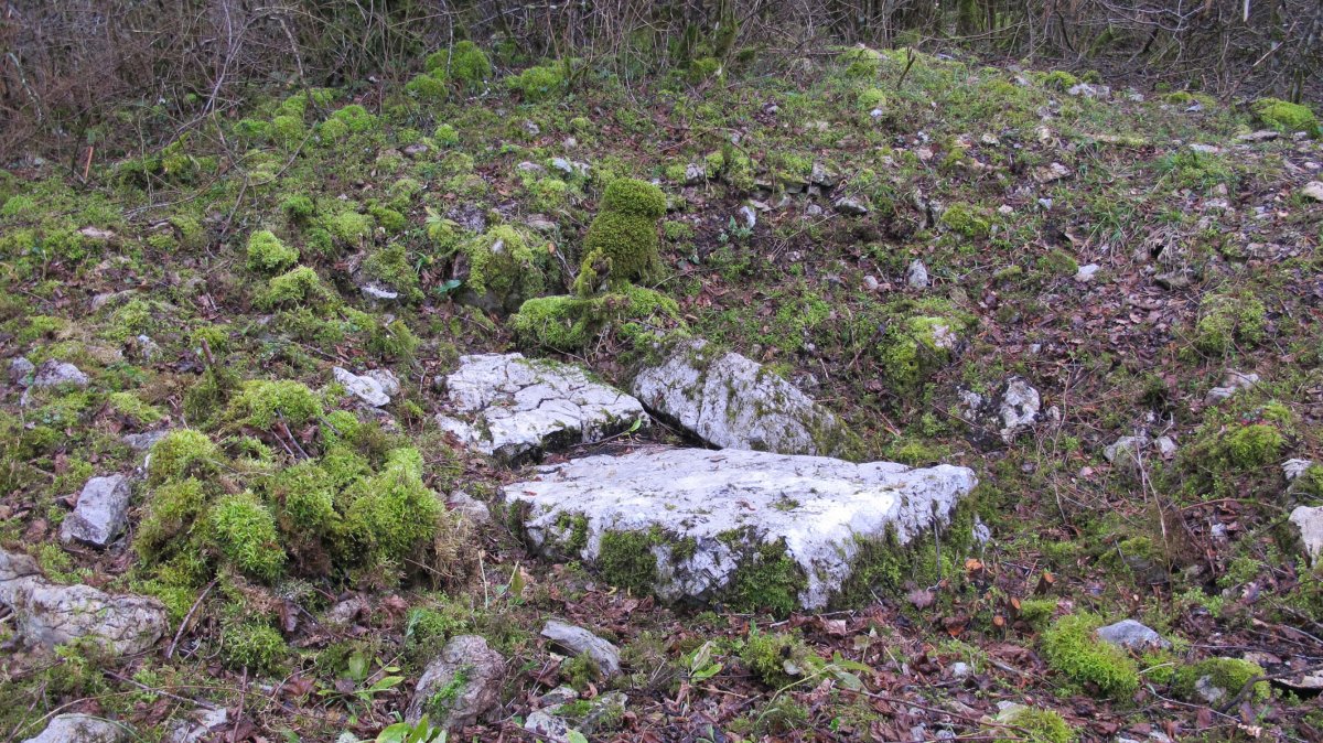 Azolape trikuharria, Oderitz-Larraun