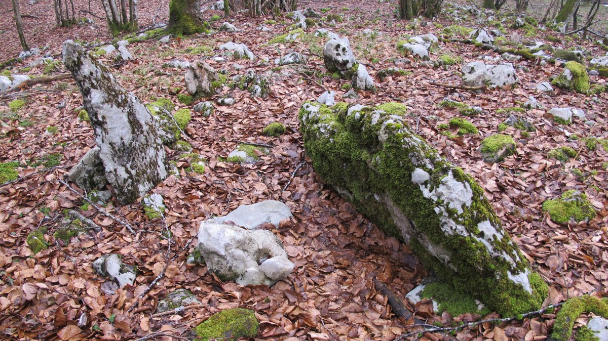 Pian trikuharria, Madotz-Larraun