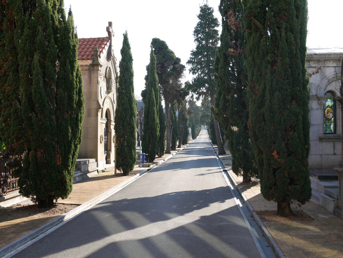 Polloe hilerria, Donostia