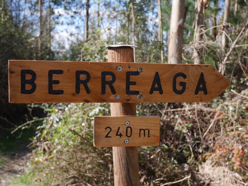 Seinalea mendibizkarrean