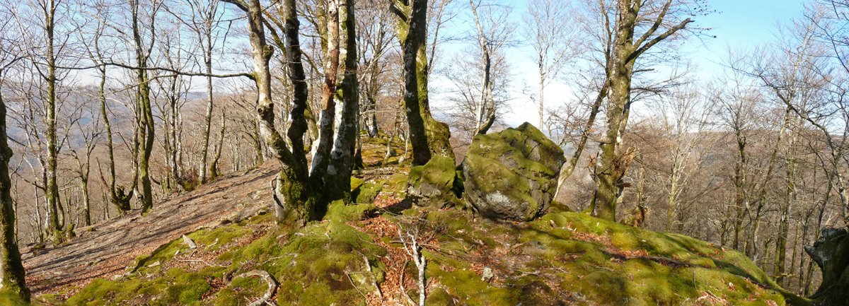 Iztola mendiko gailurra
