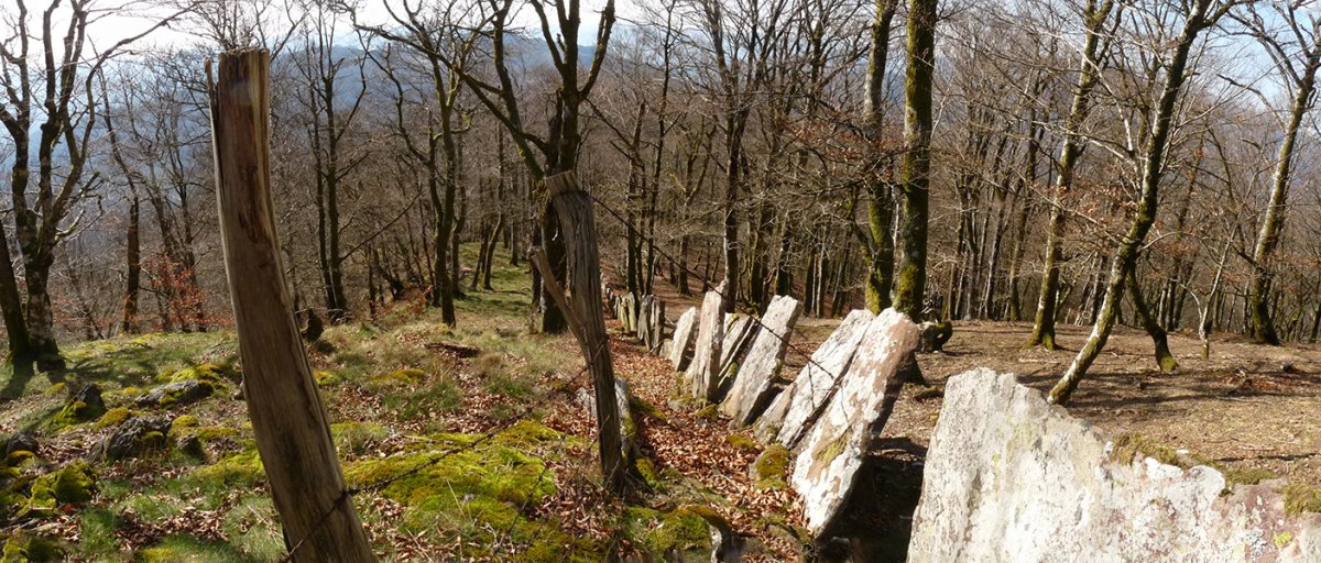 Bertizko muga, Iñarmeakako gailurrean