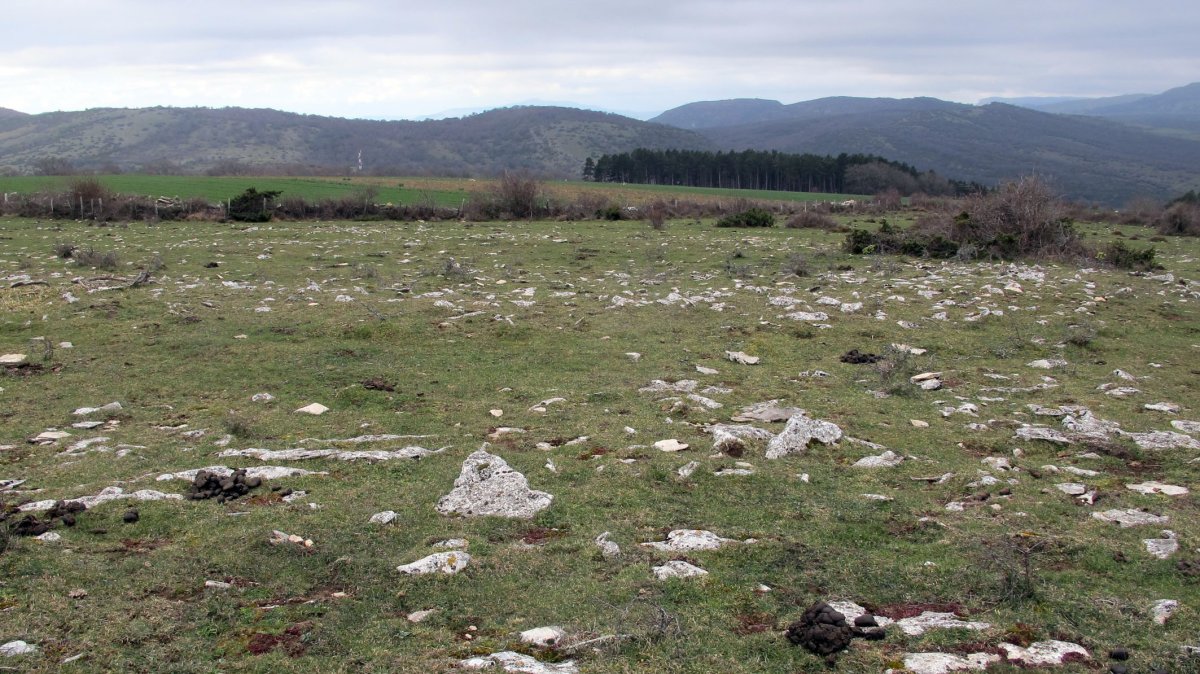 Arizdia eraztun-ttumulua, Azantza-Goñi