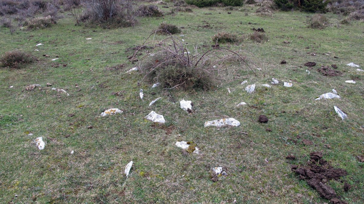 Arizdia 2 tumulua, Azantza-Goñi