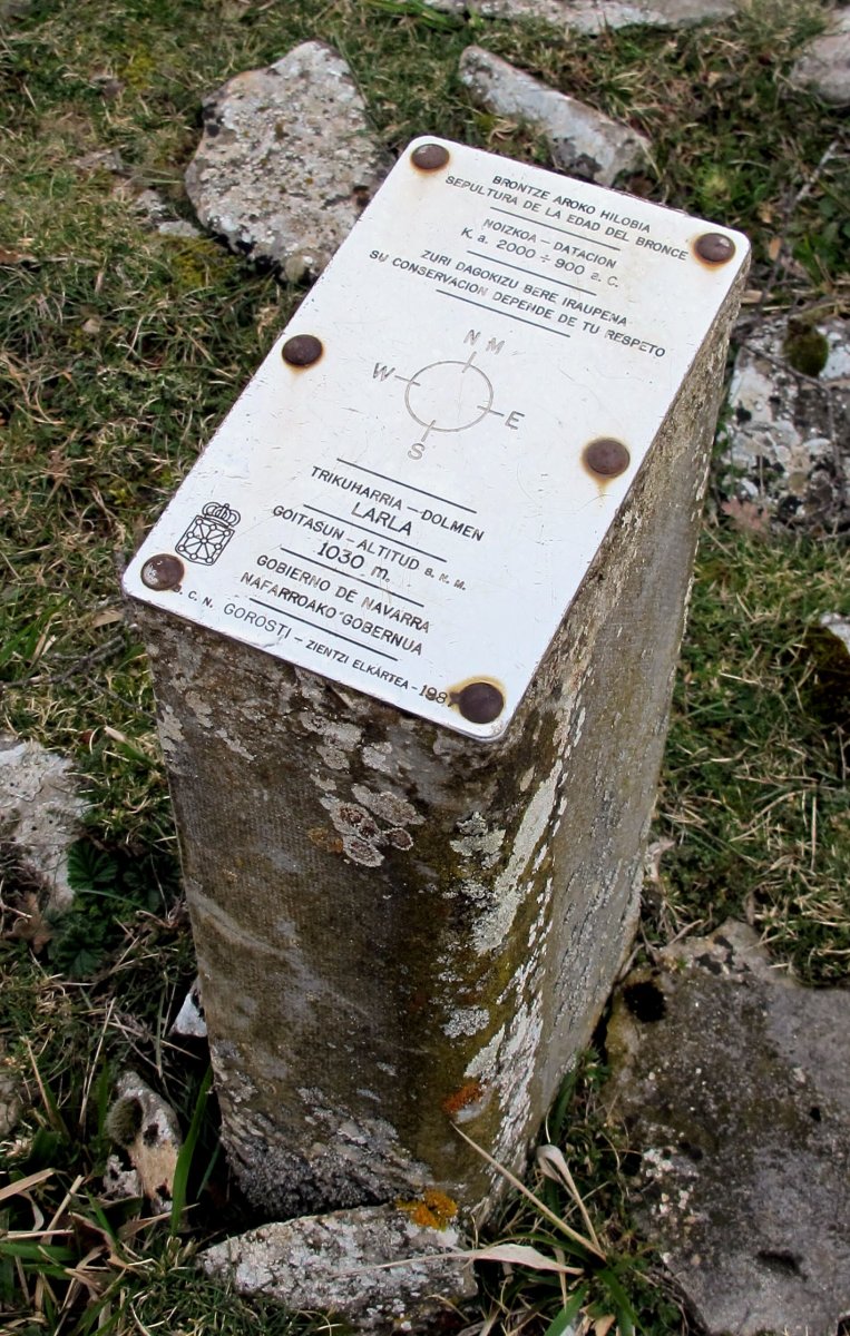 Larrola trikuharria, Azantza-Goñi