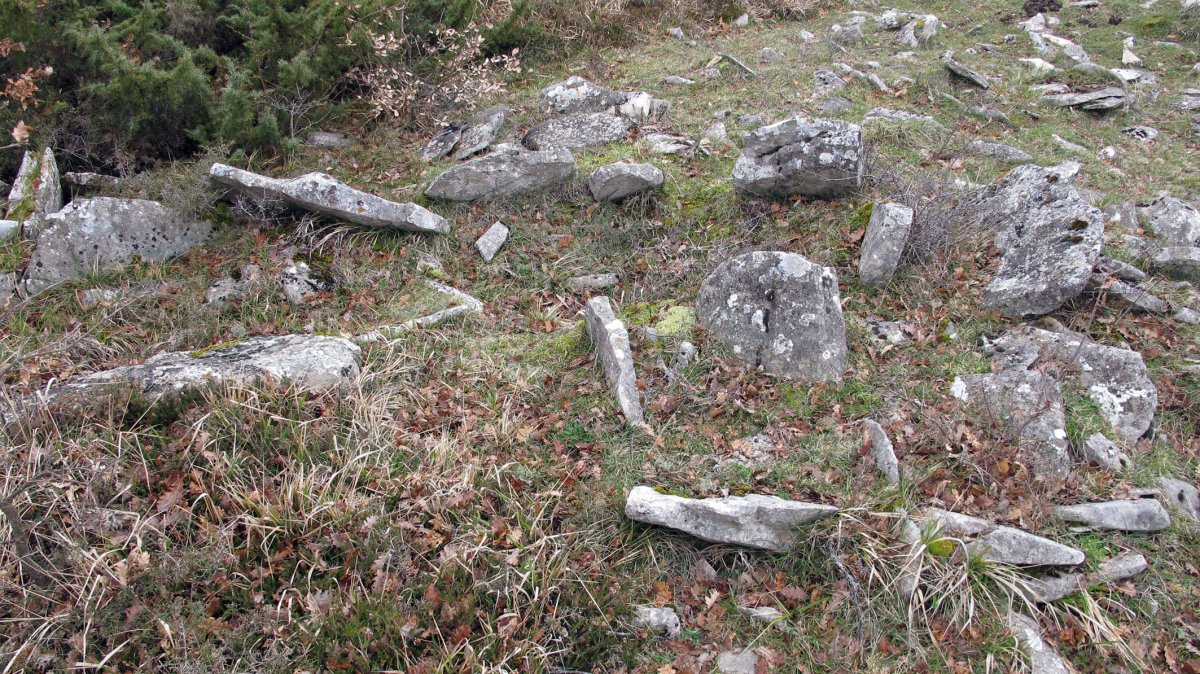 Larrola trikuharria, Azantza-Goñi