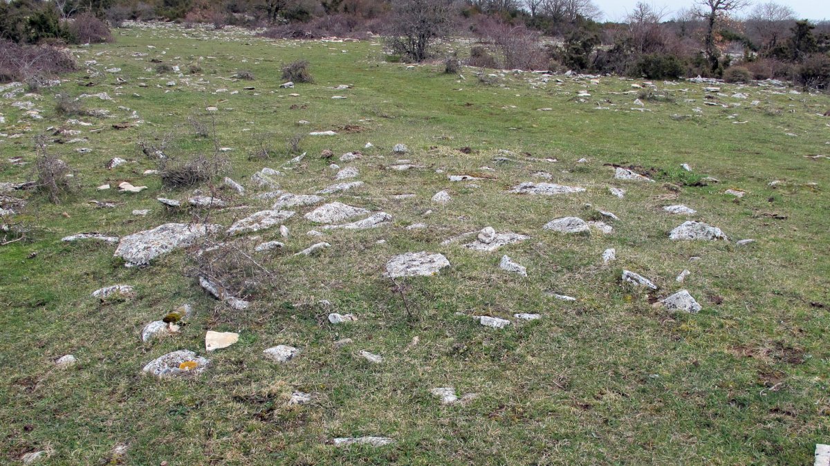 Arizdia 7 tumulua, Azantza-Goñi