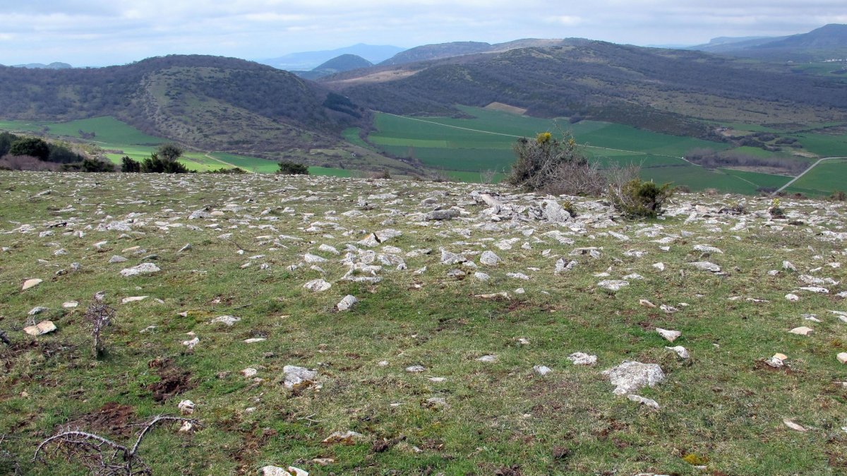 Balsa Illarradi 1 tumulua, Azantza-Goñi