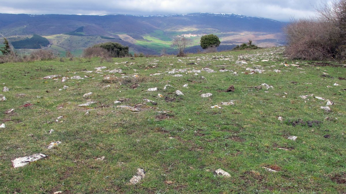 Balsa Illarradi 3 tumulua, Azantza-Goñi
