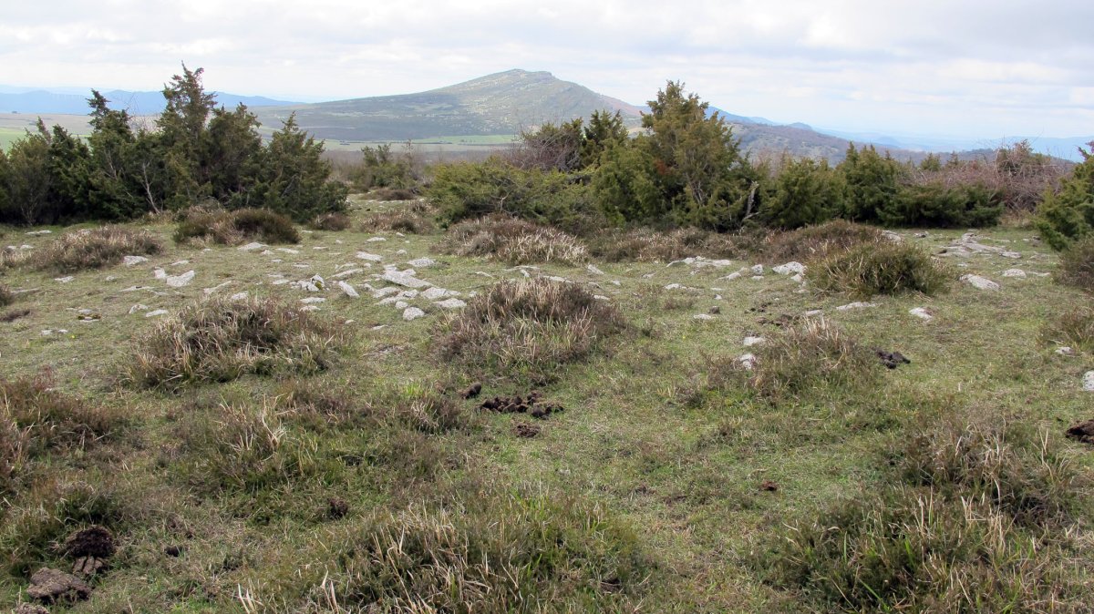 Illarradi 4 eraztun-tumulua, Azantza-Goñi