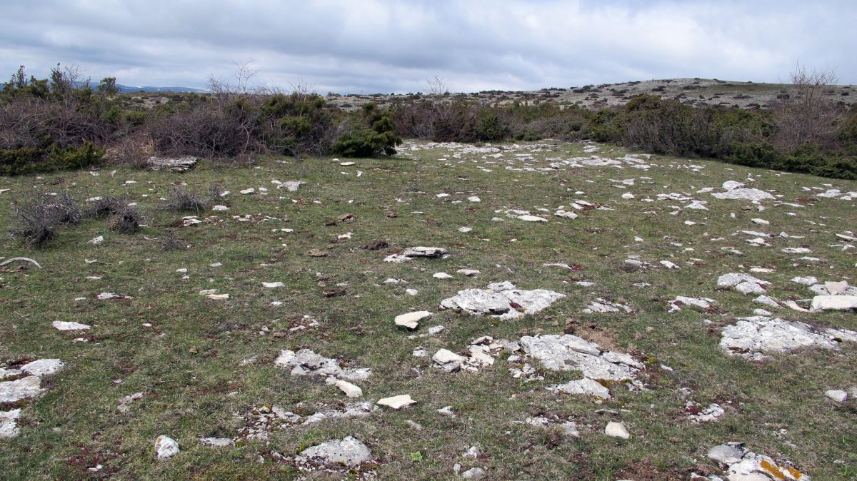 Mugartxondoa 1 eraztun-tumulua, Egilor-Ollo