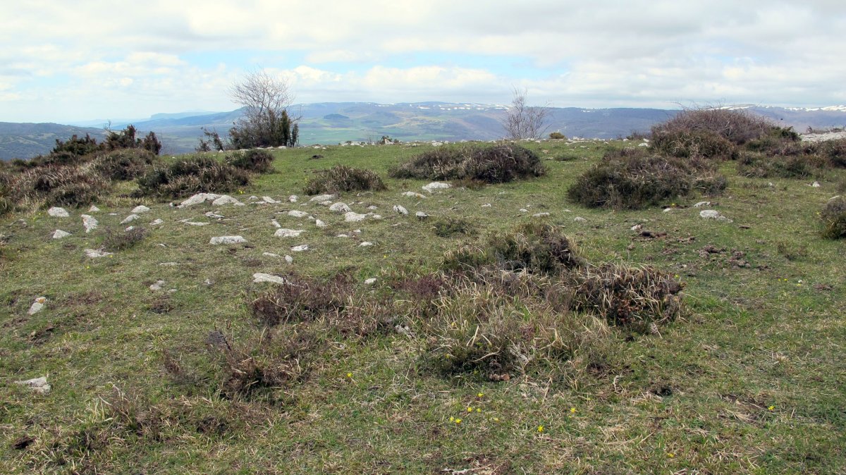 Illarradi 2 eraztun-tumulua, Azantza-Goñi