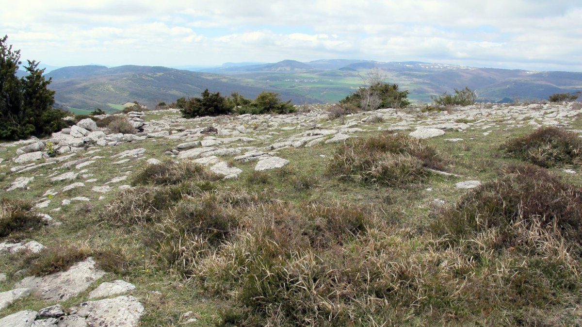 Illarradi 1 eraztun-tumulua, Azantza-Goñi