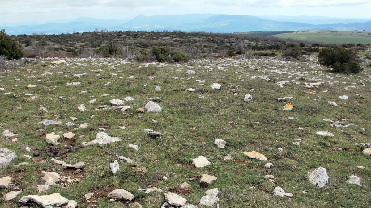 Illarradi 1 Hego tumulua, Azantza-Goñi