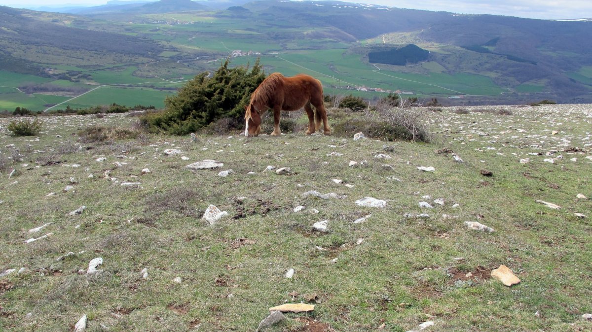 Balsa Illarradi 2 tumulua, Azantza-Goñi
