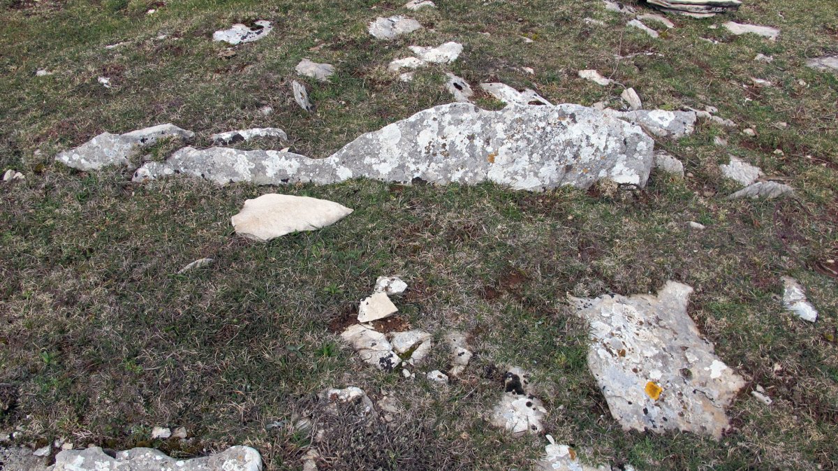 Mortxe trikuharria, Egilor-Ollo