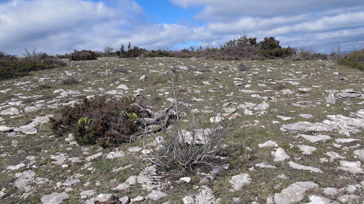 Mortxe 4 eraztun-tumulua, Egilor-Ollo