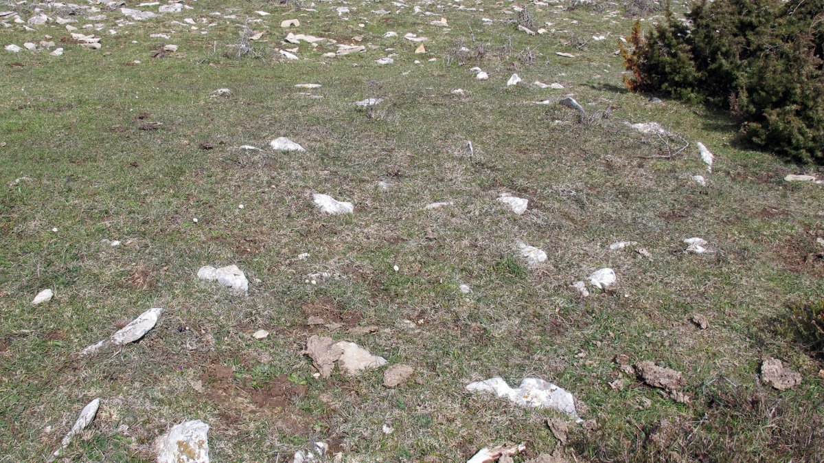 Mortxe 3 tumulua, Egilor-Ollo