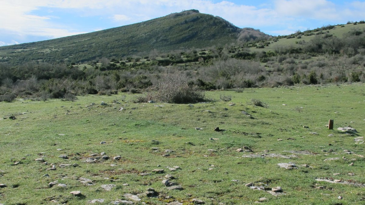 Itxasorde trikuharria, Azantza-Goñi