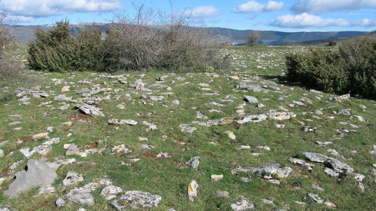 Itxasorde 1 hego tumulua, Azantza-Goñi